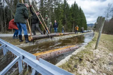 Želnavským smykem se opět plavilo dříví. Šumavská památka prošla rekonstrukcí