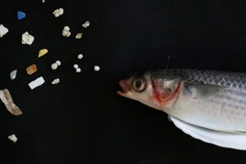 Vědci odhalili v oceánu „šokující množství“ nanoplastů