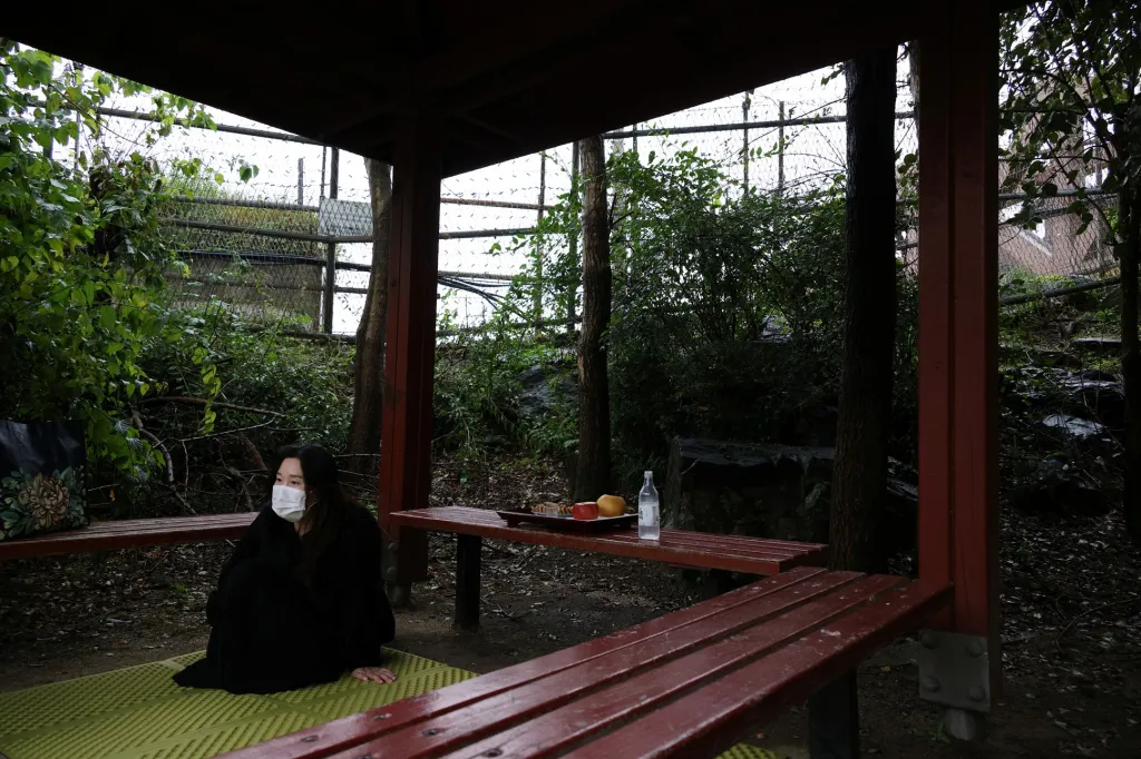 Severokorejský uprchlík odpočívá po zádušní mši za své předky, před plotem z ostnatého drátu, poblíž demilitarizované zóny oddělující obě Koreje v jihokorejském Pchadžu