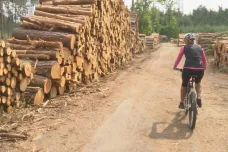 Někteří majitelé lesů chtějí uzavřít cesty cyklistům. Novela neumožní jejich předjetí, tvrdí