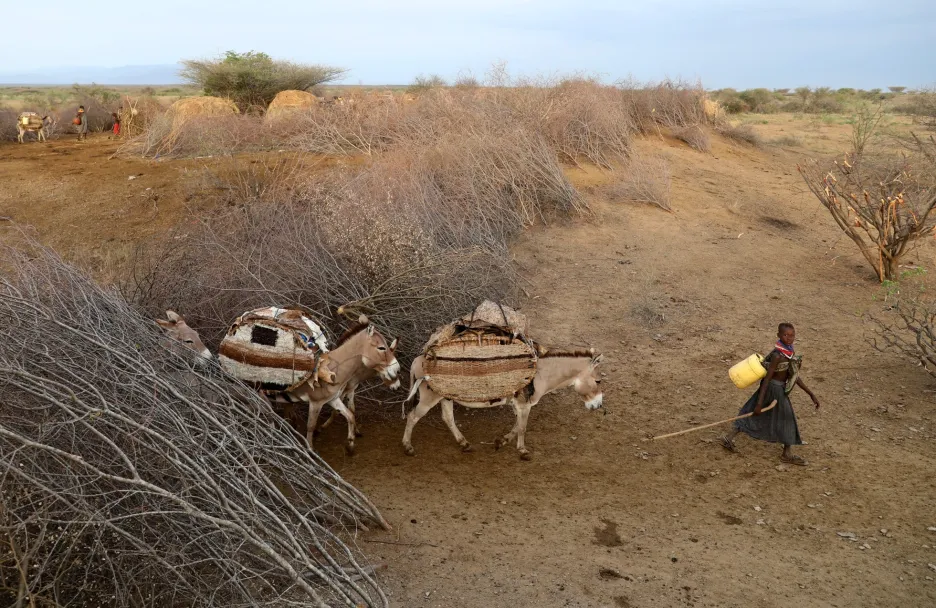 Vzhledem k nedostatku vody v oblasti jsou Turkani často nuceni hledat vodní zdroje a měnit území, což je v této oblasti nebezpečné a nabízí možnost napadení. Hranice v oblasti Ilemi se neustále mění. V současné době se snaží oblast spravovat Keňa, ale území si nárokuje jak Jižní Súdán, tak i Etiopie