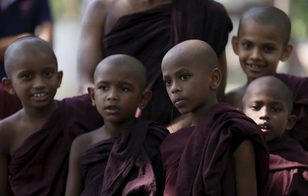 Zvířata se ale uplatní i jako pomocníci při přepravě těžkých nákladů. Účastní se polních prací, uplatní se i jako záchranáři v nedostupných oblastech