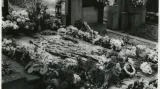 Hrob Jana Palacha na Olšanských hřbitovech s náhrobní deskou od Olbrama Zoubka v době pohřbu