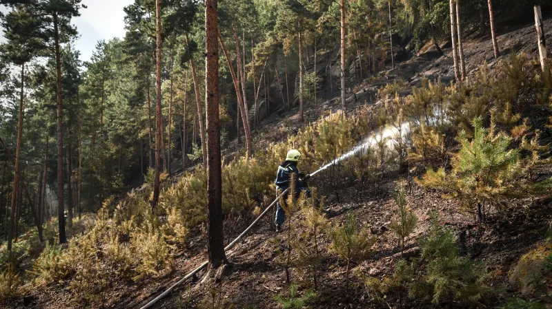 Požár lesa u obce Branžež