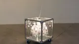 Viktor Frešo / Chandelier Box