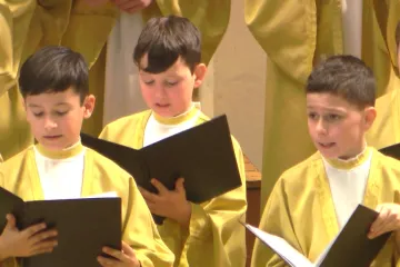 Bach je opět kantorem. Jeho pašije nastudovala studentská filharmonie