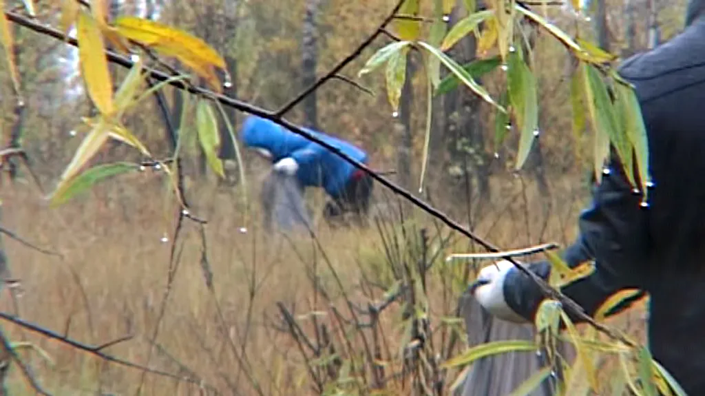 Sběr odpadků na březích Jeniseje