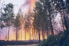 Na Sibiři hoří skoro milion hektarů lesa. Nikdo ho nehasí