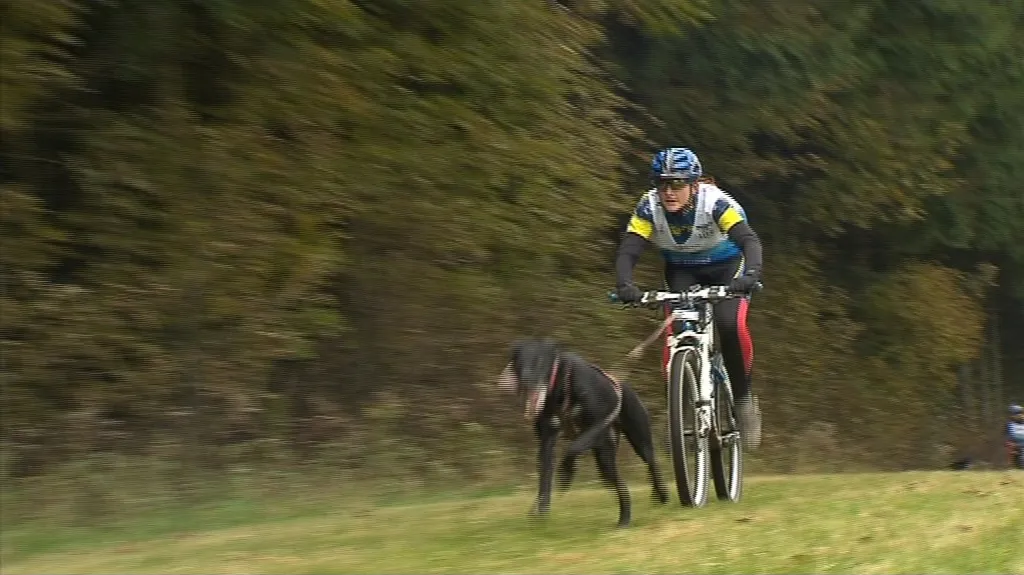 Trasa závodu vedla kromě lesních cest i přes louky