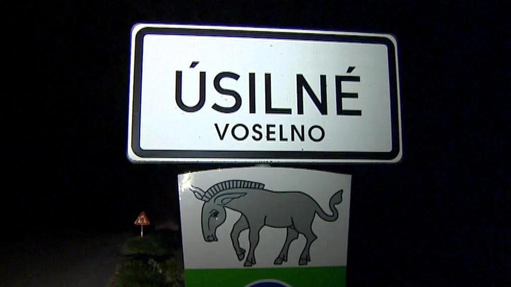 Úsilné