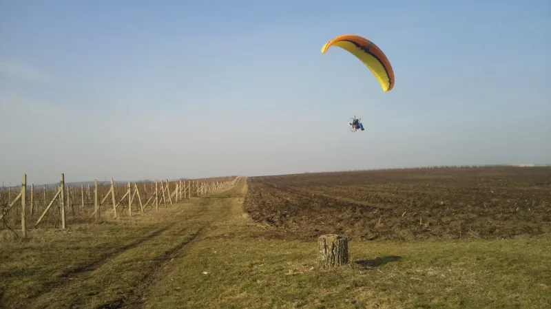Při hledání zatoulaného býčka pomáhá i paraglidista