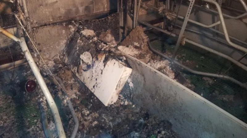 Z hořícího vepřína hasiči zachránili 36 selat a 3 prasnice