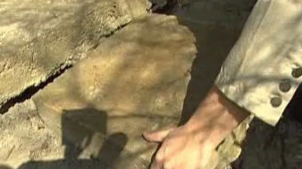 Dlaždice u trati