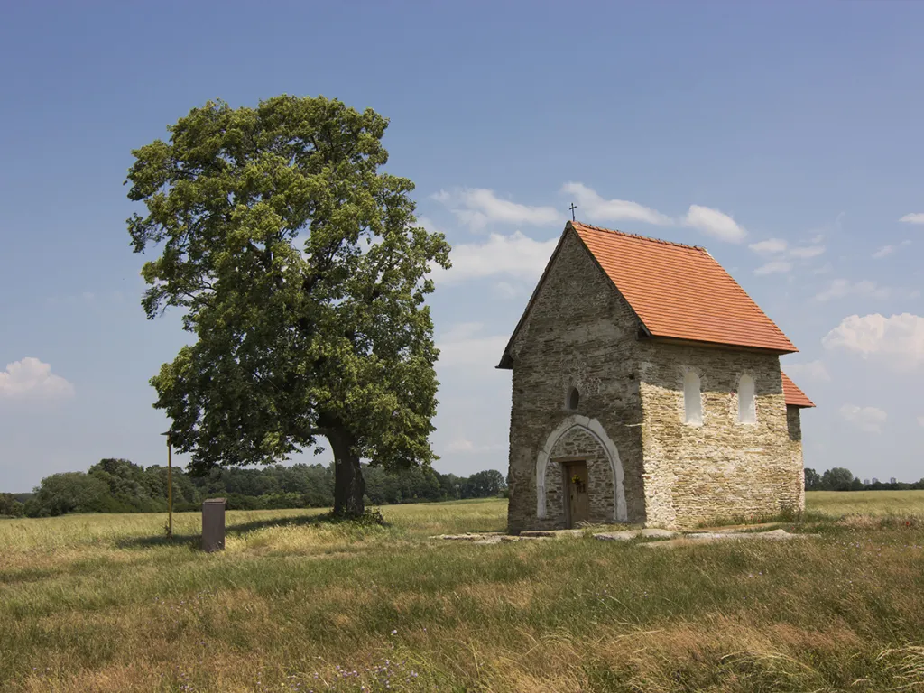 8. místo: Strážkyně velkomoravských tajemství, lípa velkolistá (235 let) z Kopčan (Slovensko). Kostel s lípou tvoří pro zdejší krajinu typickou sakrální dvojici. Navzájem se chrání a odolávají nástrahám počasí už více než dvě stě let. Kostelík z 9.–10. století je jednou z nejstarších staveb velkomoravského období na Slovensku.