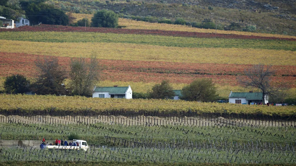 Jihoafrická farma