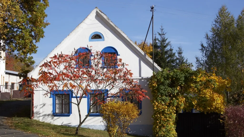 Bydlení