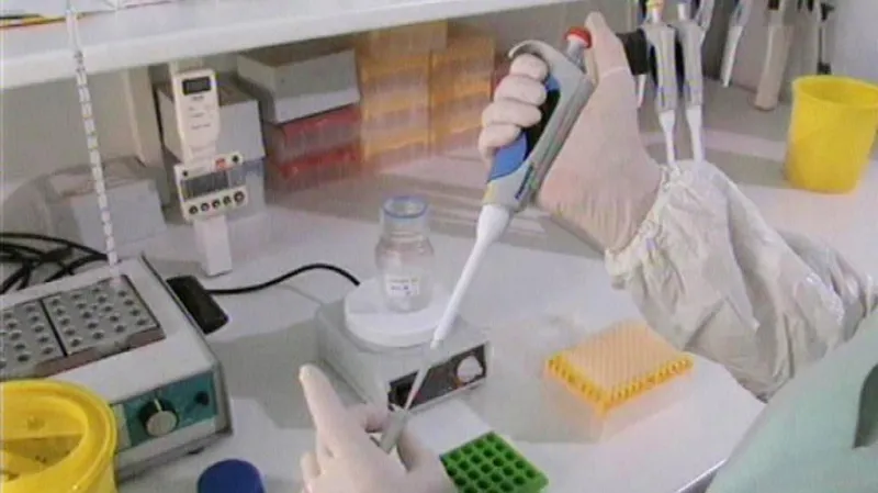 Práce v laboratoři