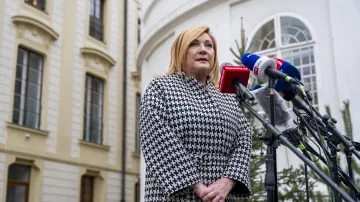 Kandidátka na ministryni financí Alena Schillerová (ANO)