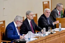 Senát nyní vede Jiří Růžička, nového předsedu by si horní komora mohla zvolit v únoru