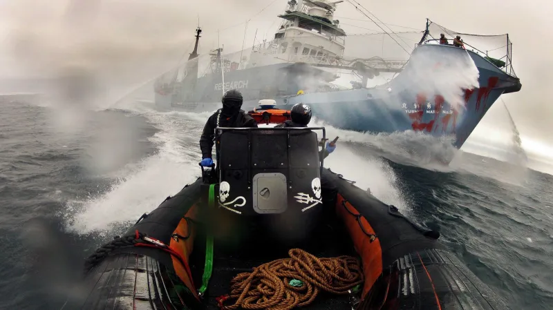 Ekologičtí aktivisté Sea Shepherd