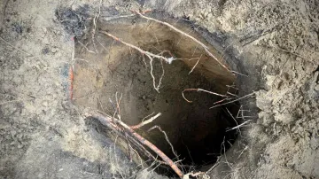 Vstup do tunelu v Bělověžském pralese