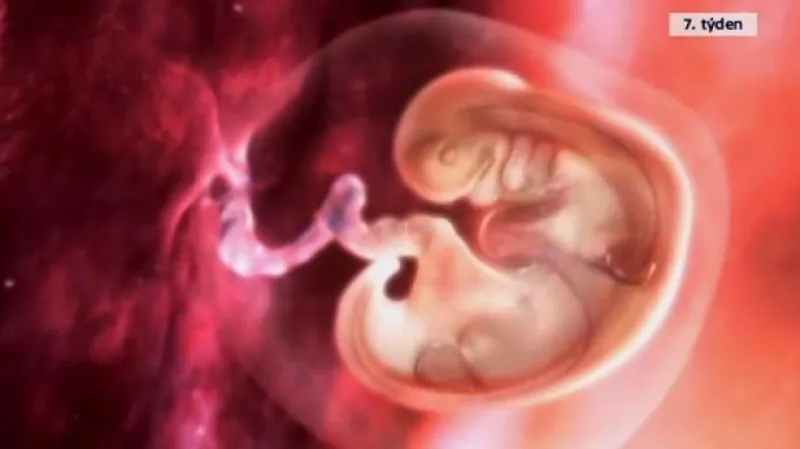 Události: Potratová pilulka budí protichůdné názory