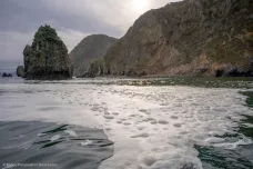 Čtyřicet kilometrů dlouhá skvrna jedů v moři u Kamčatky se podle vědců sune na jih