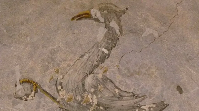 Jeřáb se zvednutým spárem