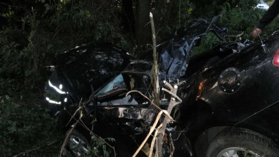 Po střetu osobního auta se srnou zemřel mladý muž