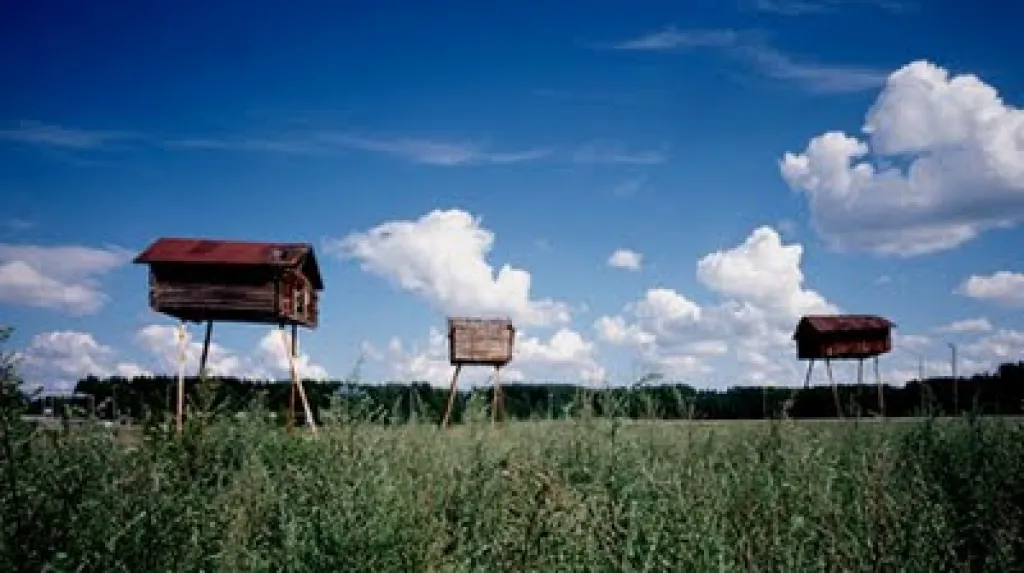 Severská architektura / Landescape