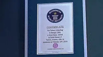 Certifikát o rekordu pro nejvyššího psa světa