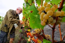 Trumpova zvažovaná cla znepokojují francouzské vinaře