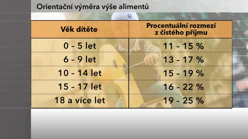 Orientační výpočet výše alimentů