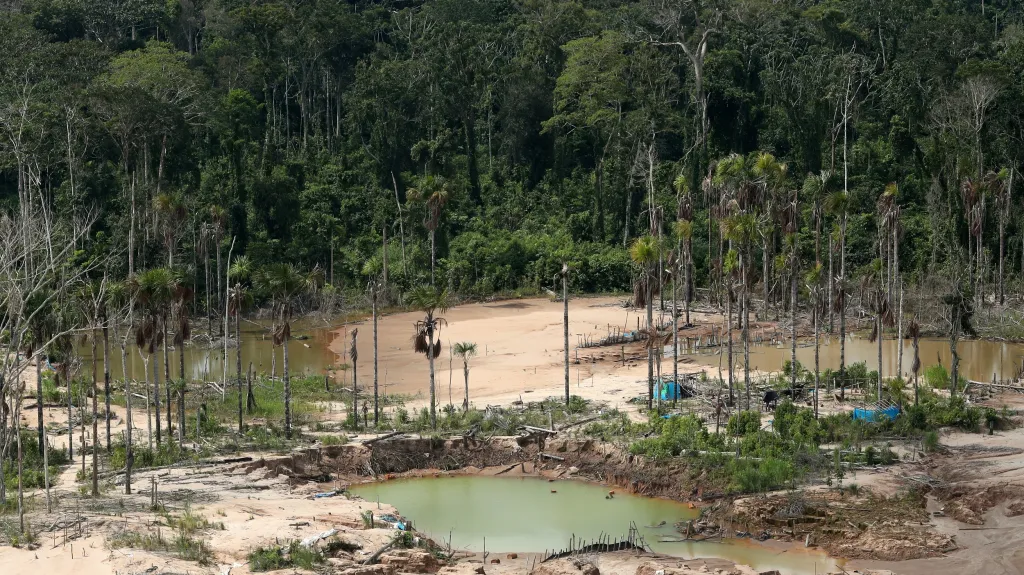 Deforestace Amazonie