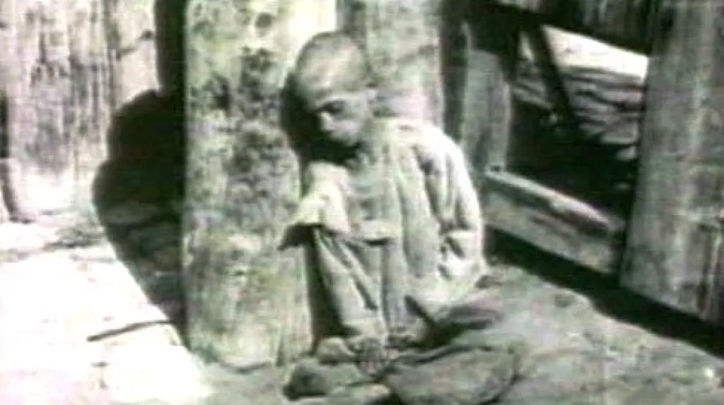 Hladomor na Ukrajině