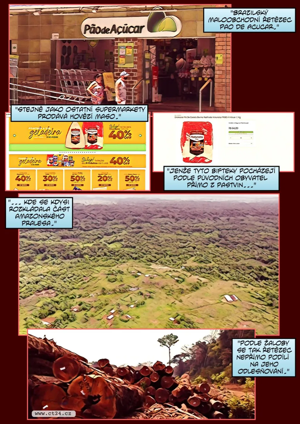 Svět vinou člověka přišel už o dvě třetiny deštných pralesů