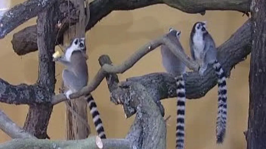 ZOO Ohrada