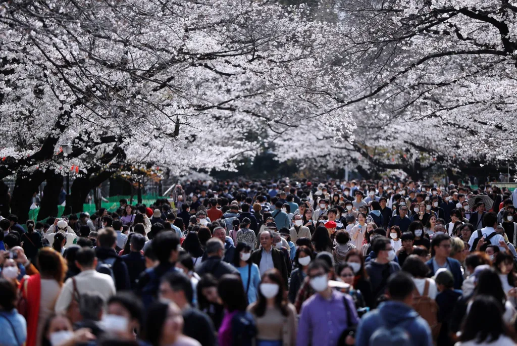 Navzdory koronaviru vyrazily tisíce Japonců do centra Tokia obdivovat rozkvetlé stromy