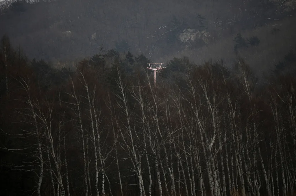 Sloup nefunkčního lyžařského vleku nad korunami stromů v chátrajícím areálu Alps Ski Resort v Jižní Koreji