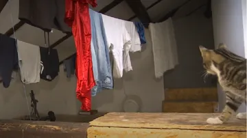 Byty v továrně v Chrasti