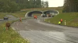 Oprava dálnice D3