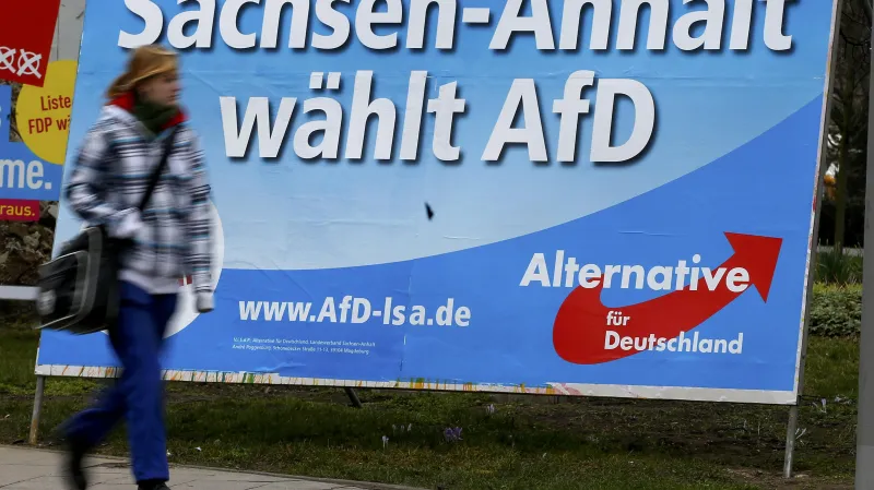Předvolební kampaň AfD