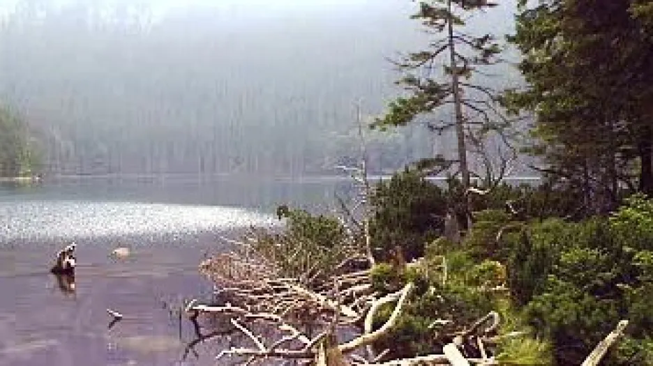 Jezero na Šumavě