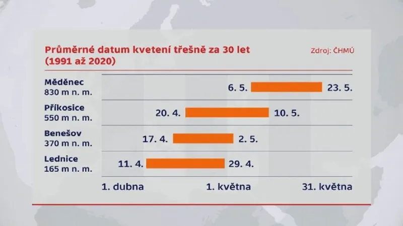 Jak kvetou třešně