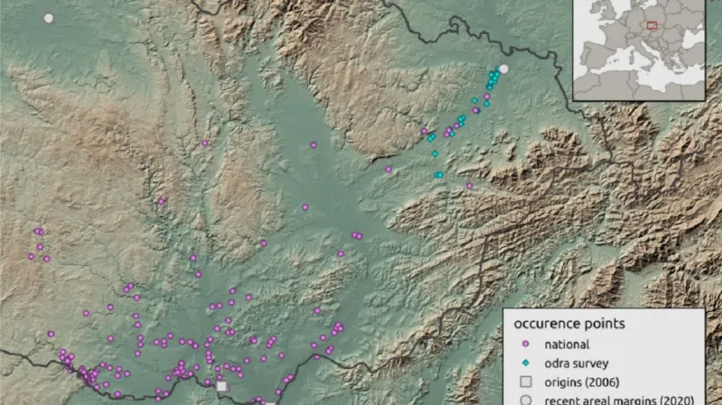 Mapa šíření kobylky kuželohlavé: kolečkem je značené nové šíření, čtverečkem historické lokality