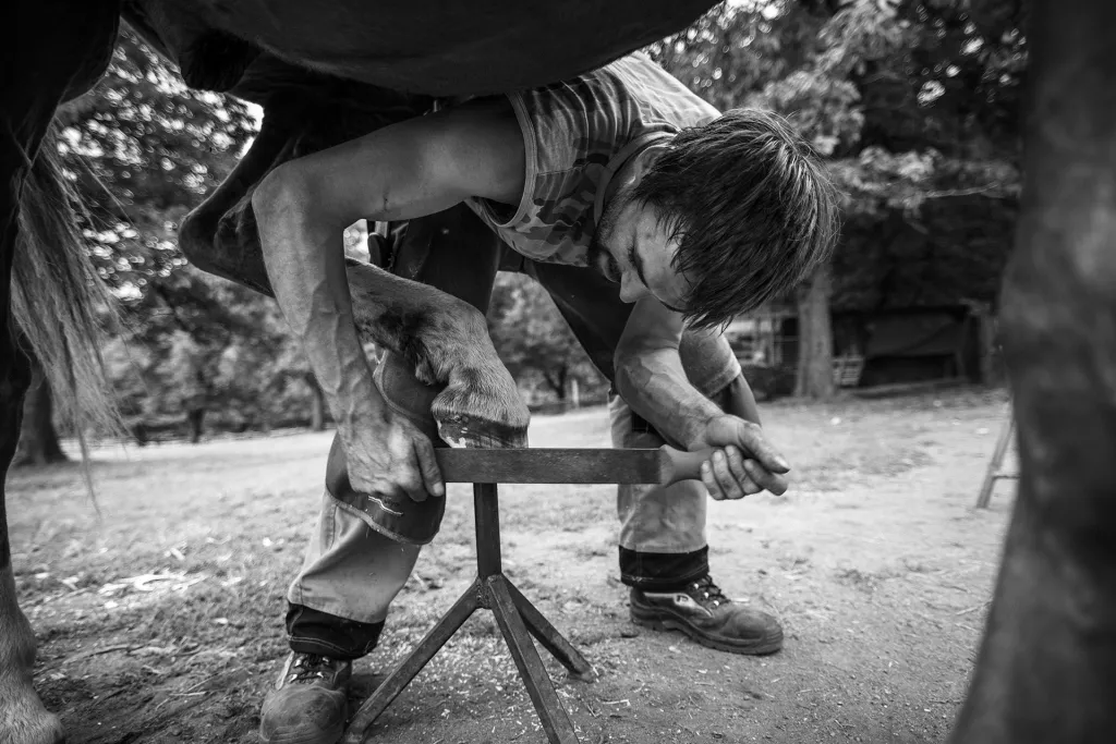 Nominace v kategorii České zemědělství a venkov. Kování - Malý příběh moderního kováře. Zboží u Nové Paky, Česká republika.