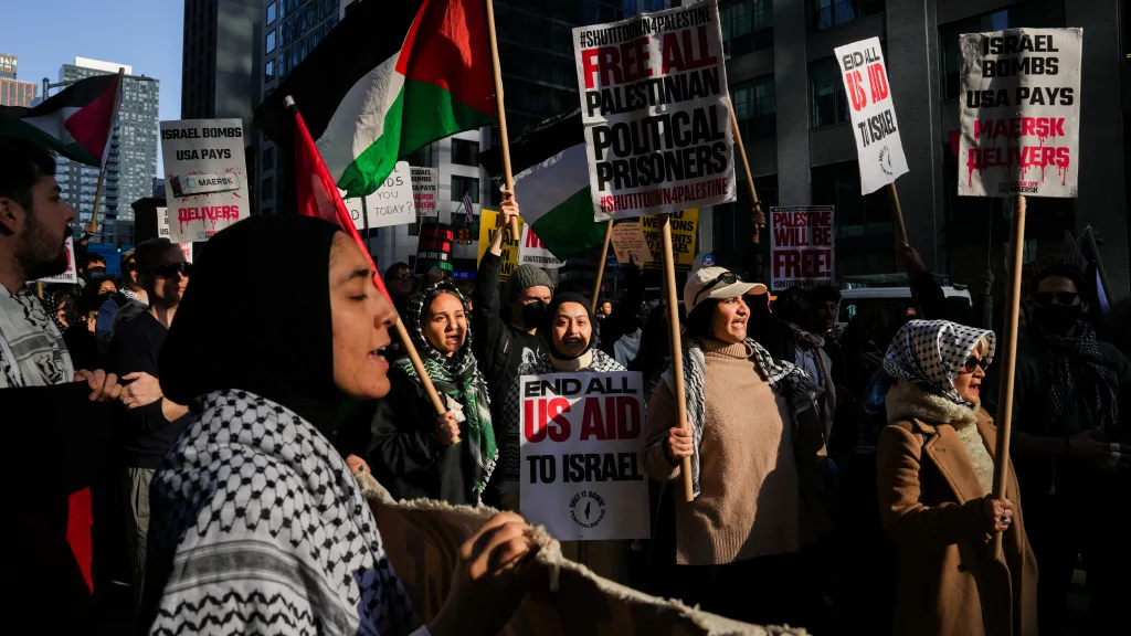 Shromáždění na podporu Palestiny v New Yorku, snímek z října 2024