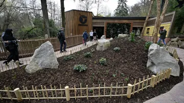 Nový pavilon gibonů stříbrných Gibonika v Zoo Zlín