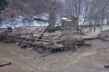 Do Dyje se na Znojemsku dostala kejda, hasiči vyslali laboratoř