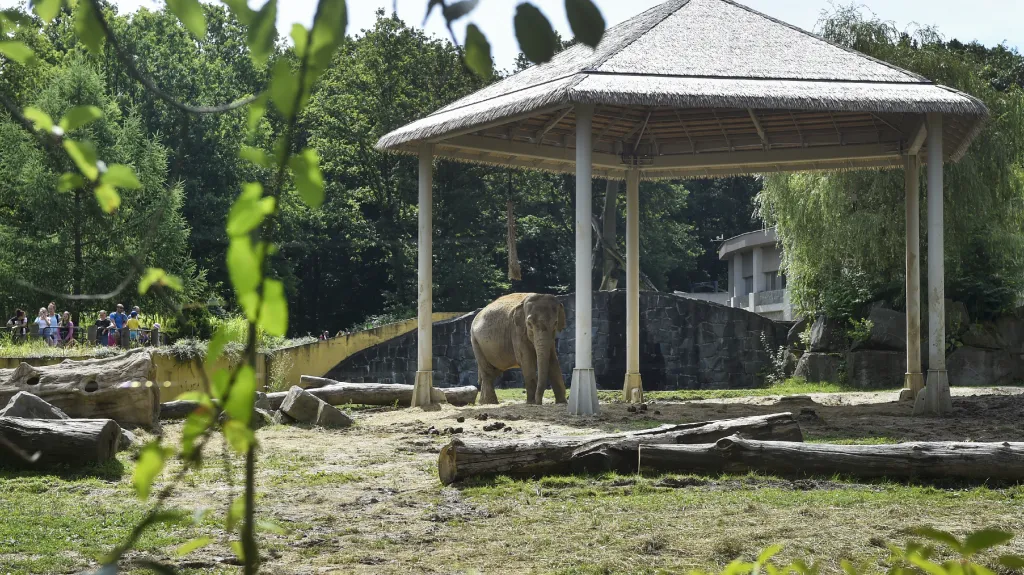 Sloni indičtí v ostravské zoo mají nové stínidlo